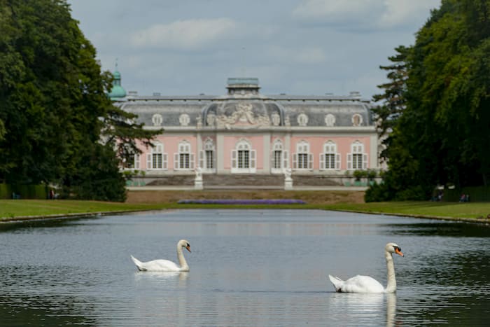 Dieses Bild zeigt das Schloss Benrath mit zwei Schwänen im vordergrund